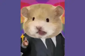 火遍全网的“鼠鼠文学”，到底是个什么梗？图片