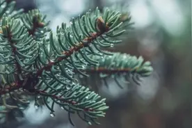 回南天来了！几个小妙招助你应对潮湿天气！还有祛湿食疗方图片