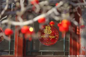 灯照玉兰春意浓图片