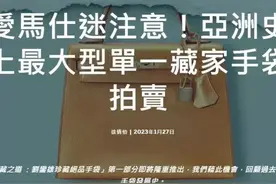 2443万落锤！全球顶级藏家详解刘銮雄的76只爱马仕图片