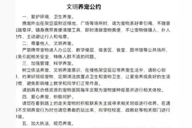 慕了！南宁二中可带宠物上学，还要选“班宠”！图片