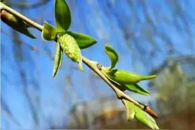 杂谈|人生不过爬楼梯图片