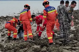 深圳一女子海边捉螃蟹深陷泥潭 消防员挖泥营救图片