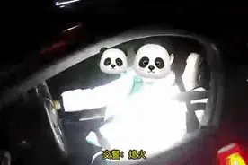 男子醉驾被查，竟称“只喝了两瓶啤酒，喝三瓶就睡着了”图片