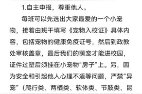 南宁二中允许带宠物入校？学校：属实，有家长却担忧……图片