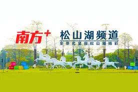 2023年松山湖中小学、幼儿园入学申请，这些要点须注意图片
