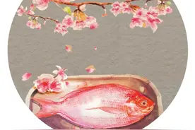 舌尖上的春天，真好吃啊图片