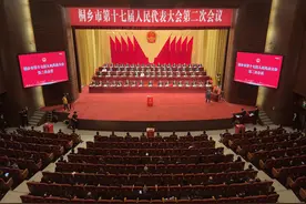 权威发布丨丁瑜琼、谢峻当选为桐乡市第十七届人大常委会副主任图片