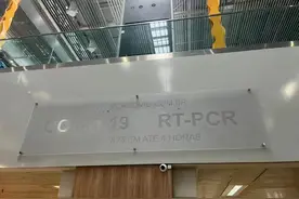 聚焦 | 从圣保罗到温州，半个地球也挡不住回家的路图片