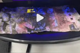 结婚用的25万现金发霉了！图片