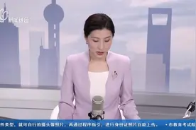 “随申办”上找工作 招工求职更方便视频封面