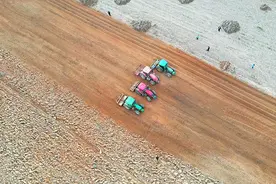 广西上思：不误农时不负春 甘蔗耕种进行时图片