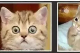 身份证照片可以这样拍了！网友：建议全国推广图片