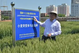 一号文件解读丨新一轮千亿斤粮食产能提升，“新”在何处？图片