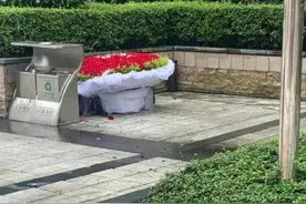 这届单身网友，情人节打算和垃圾桶过？图片