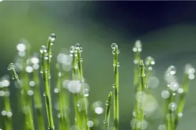 一到夏季就心悸气短、虚弱无力？这些中成药能让你活力满满图片