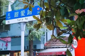 今天情人节！乘坐公共交通即可直达上海这些最浪漫的约会圣地图片