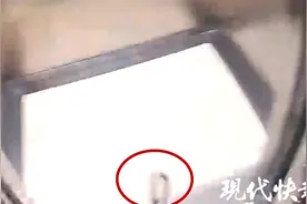 女子被困电梯：被我的小狗害的图片