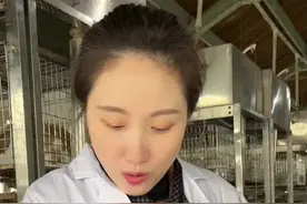 怀孕只需一个月、一年可以生6胎：小兔真的太能生！图片