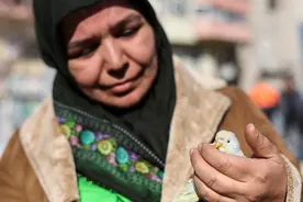 【史海回眸】1939年，大地震重创土耳其图片