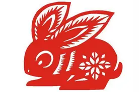 传统文化|十二生肖之卯兔图片
