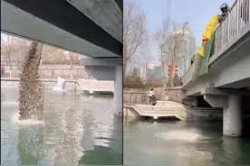 北京亮马河“放生”生物被打捞！是何生物？“放生”者这样说图片