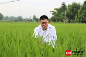 真菌病害想要入侵？这款新型绿色农药为作物穿上“金钟罩”图片