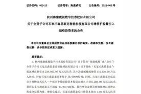 海康威视子公司拟增资引入战投，加速汽车电子业务发展图片