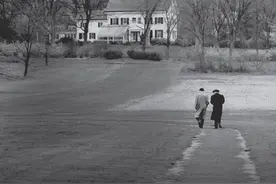 与哥德尔一起散步图片