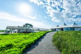 【新闻早茶】1月河北环境空气质量排名公布!还有这些热点……图片