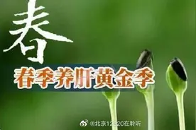 春天养肝护肝最好时，重点全在这里图片