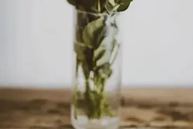 所有女生，教你几招让鲜花多“美”几天图片