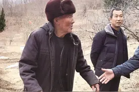 感人！95岁老党员蜗居三十年植树十万棵：“我没有什么本事，就种些树留给后人吧”图片