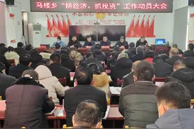 鲁山县马楼乡掀起“拼经济、抓投资”工作热潮图片