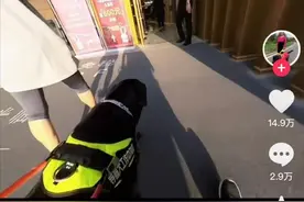 盲人女子带导盲犬进三亚商场被拒？海南省残联：如属实将介入图片