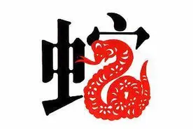 传统文化|十二生肖之巳蛇图片