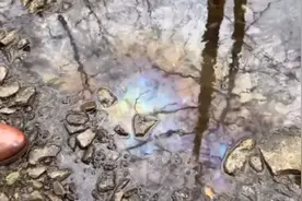 美议员实地拍摄俄亥俄州小溪：全是死鱼死虫 化学物质渗入地下图片
