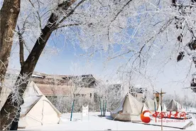 兰州榆中：小镇春日现雾凇图片