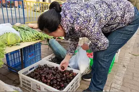 逛市场|春天荸荠正当时，好吃不贵！图片