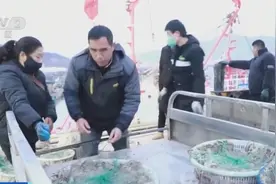 出货量下降，连云港海鲜涨价了！三月或逐步降价→图片