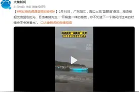 网友海边偶遇“蓝眼泪”奇观图片