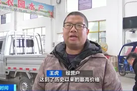 沉睡一冬后悄然上市，潜江小龙虾量少价高图片