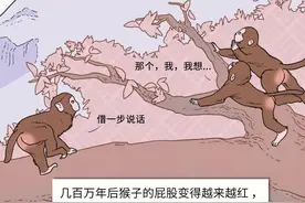 漫画科普：翘臀是如何诞生的？图片