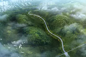 淮南这条道路工程有最新消息图片