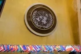 联合国这些岗位“职”等你来！图片