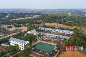 8年救助3000多只小动物，荆州这群志愿者让“毛孩子”有了家图片