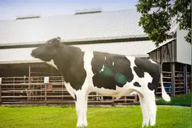 中央一号文件公布｜科技优然赋能产业｜助力农业科技新发展图片