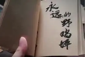 湖南人·好精神丨闻名全国的“南方大寨”——野鸡坪精神视频封面