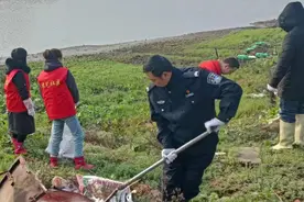 洪湖市大同湖管理区：全力打赢清理水葫芦、水花生专项整治歼灭战图片