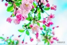 只为了与你，在春天的第一章就相遇图片